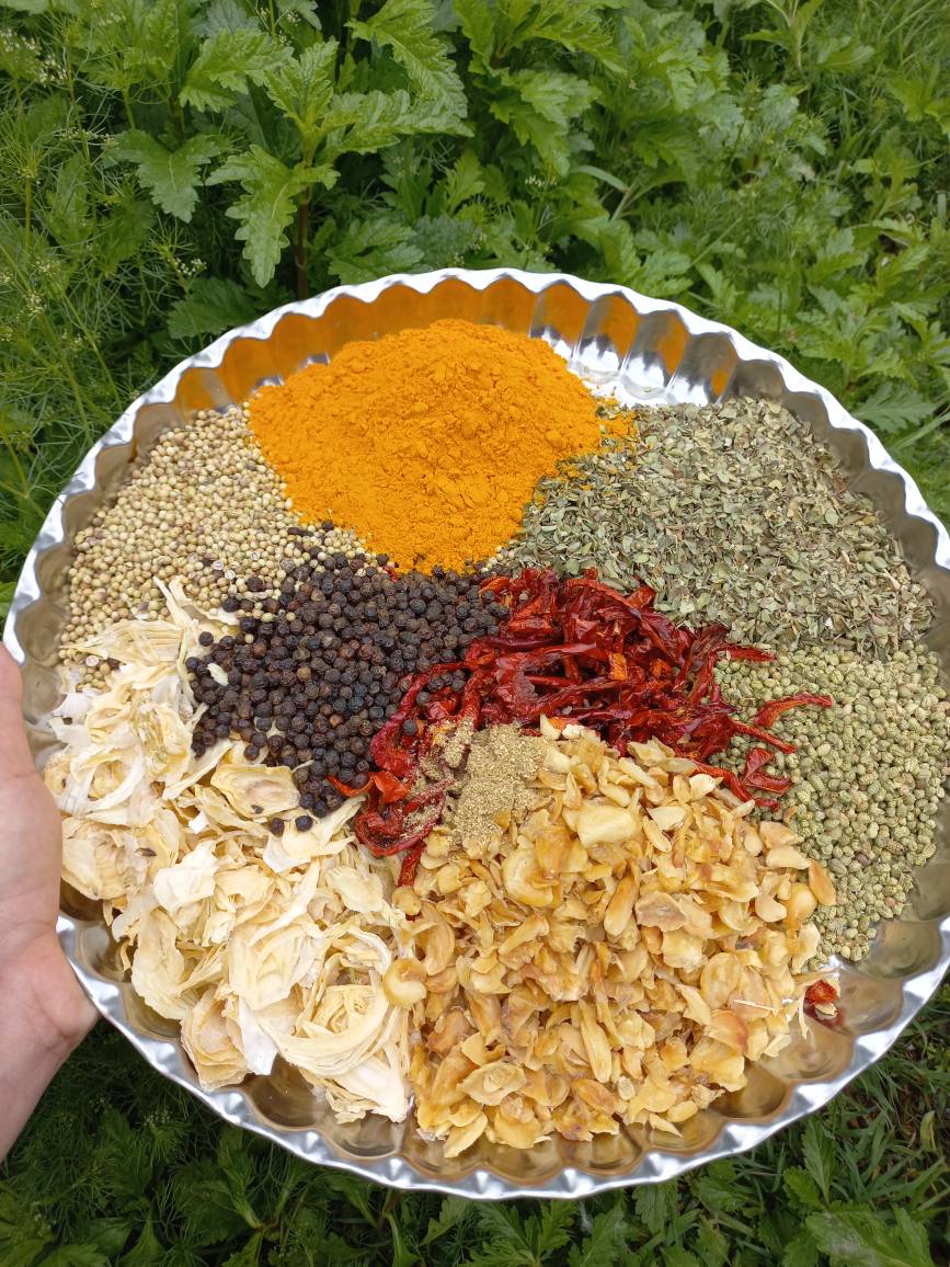 محصولات بانوی شمال