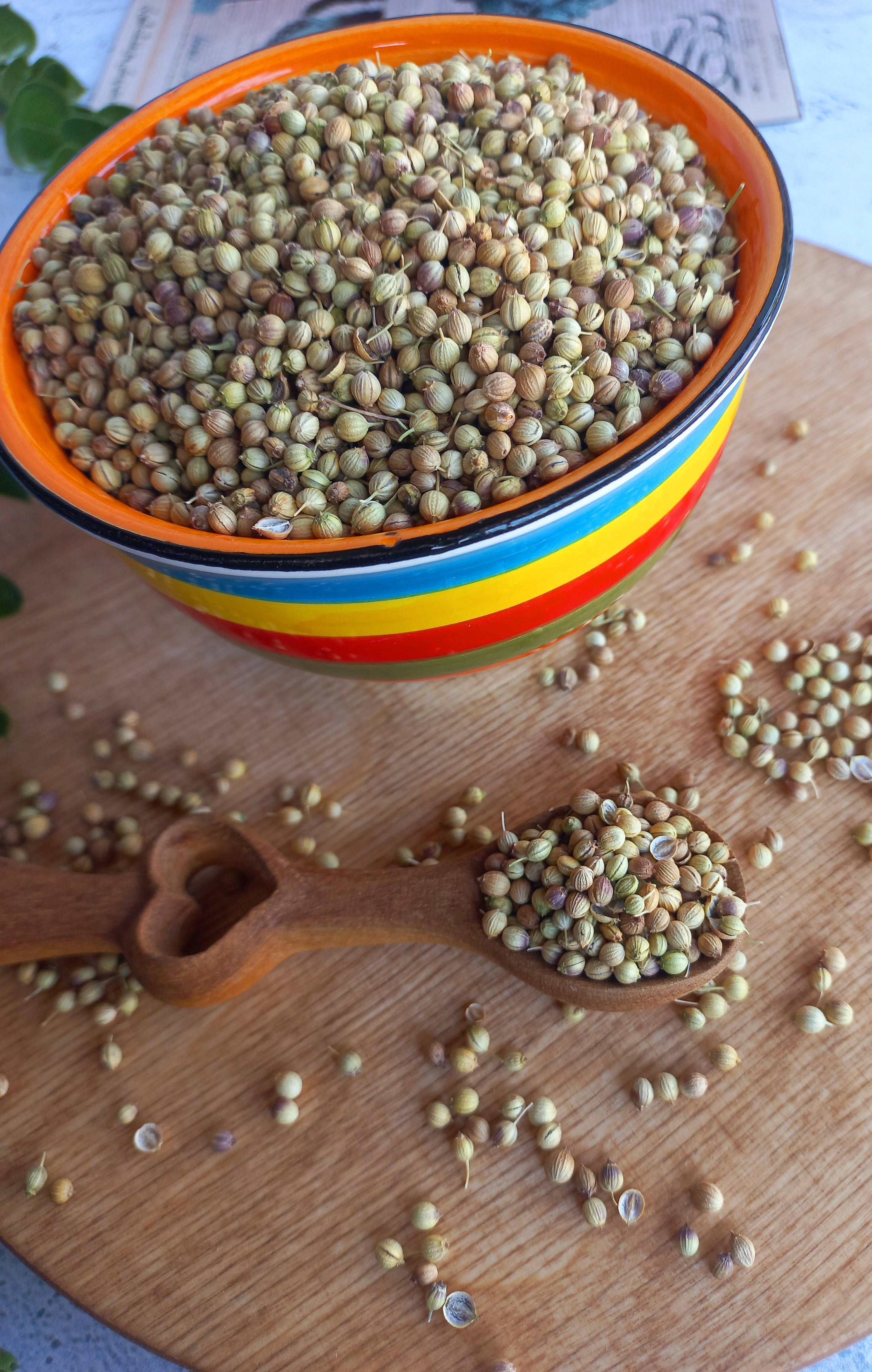 تخم گشنیز پاک شده  بسته   ۱۰۰گرم