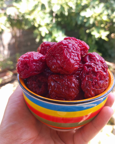 آلوقرمز درشت ونرم وترش