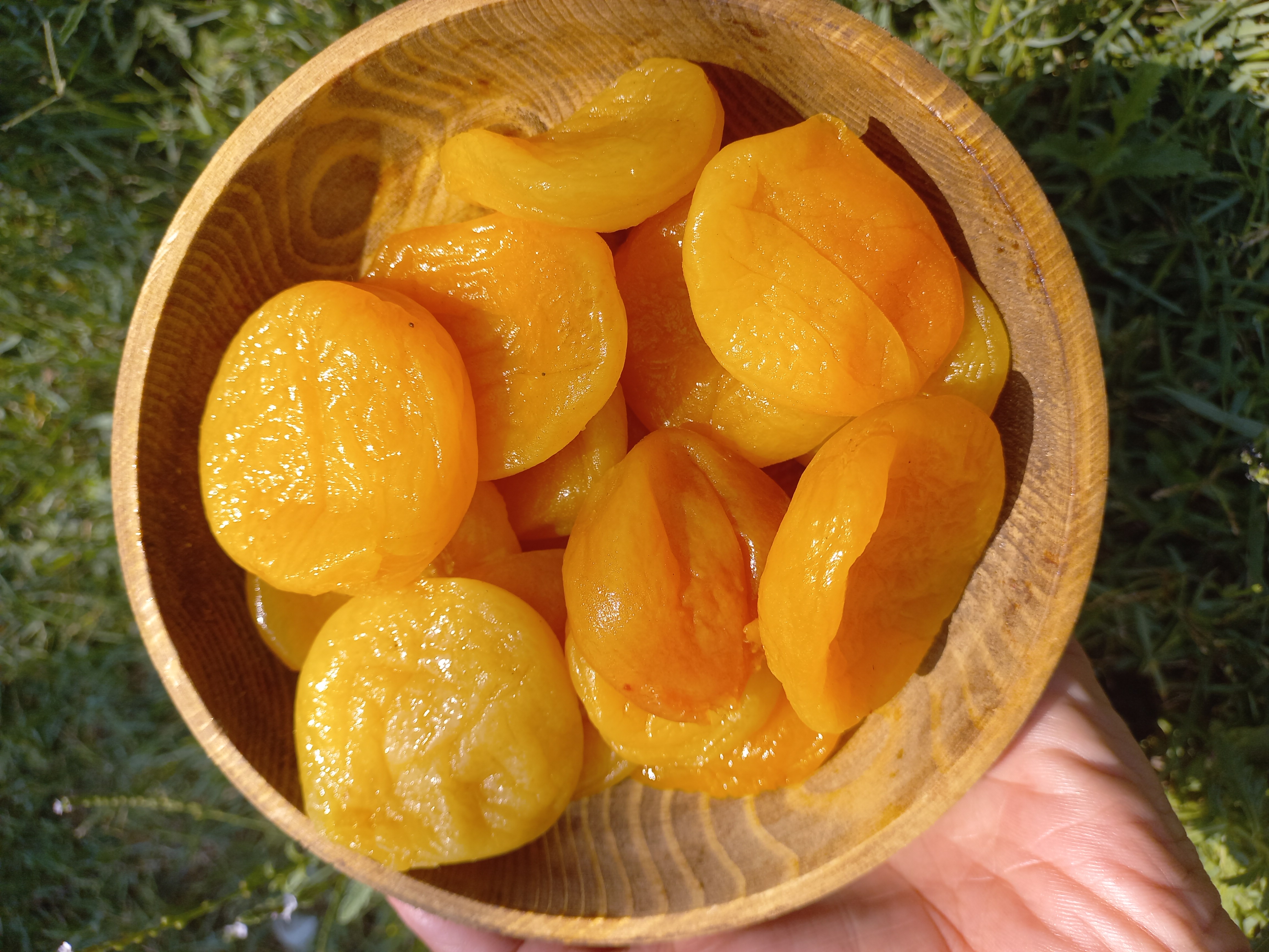 قیصی درشت ونرم سوپرلوکس وملس وگوشتی