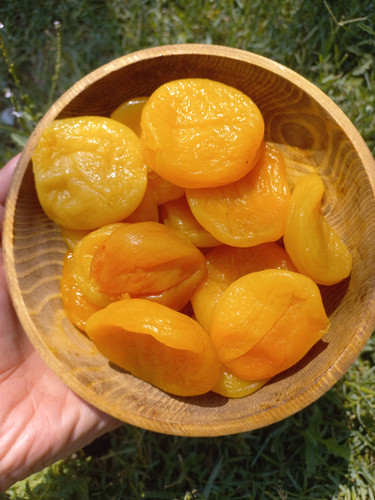 قیصی درشت ونرم سوپرلوکس وملس وگوشتی